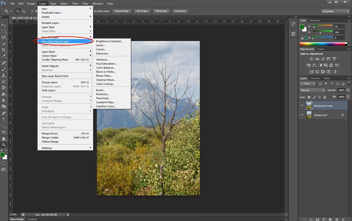 Brightness/Contrast در فتوشاپ