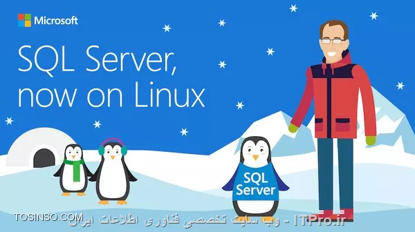 نصب SQL سرور بر روی لینوکس