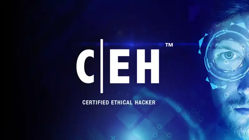 دوره CEH چیست؟ معرفی دوره آموزش هک قانومند به زبان بسیار ساده