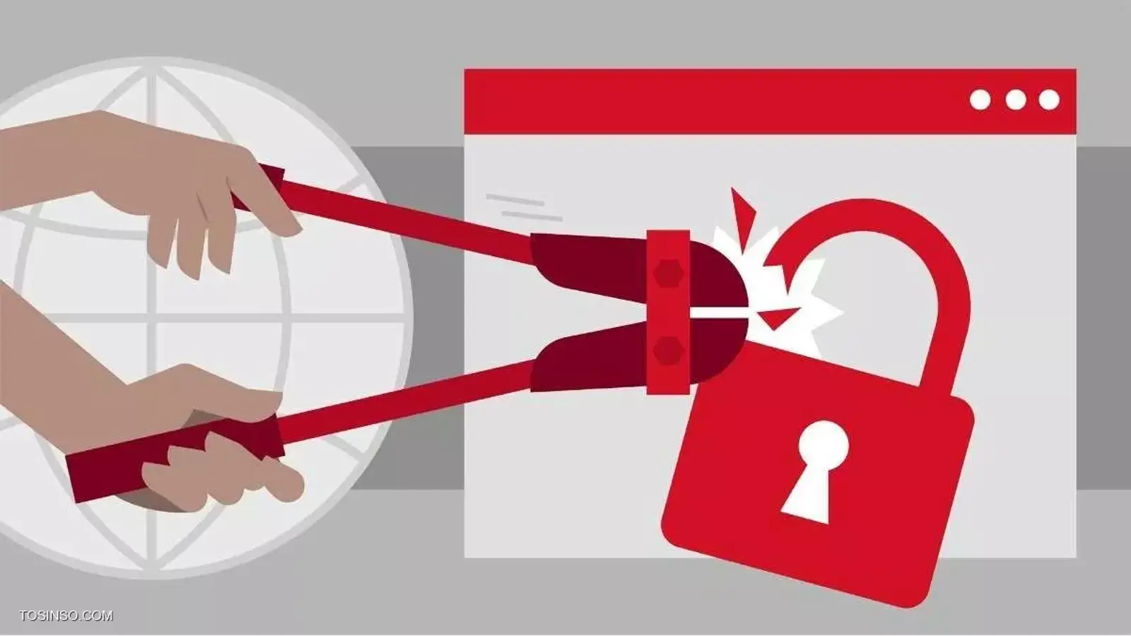 آموزش تست نفوذ به وب سایت ها : معرفی نرم افزارها و آسیب پذیری ها