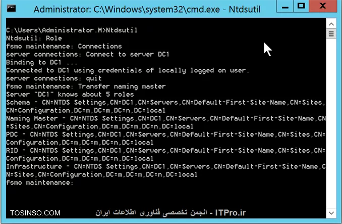 وب سایت توسینسو