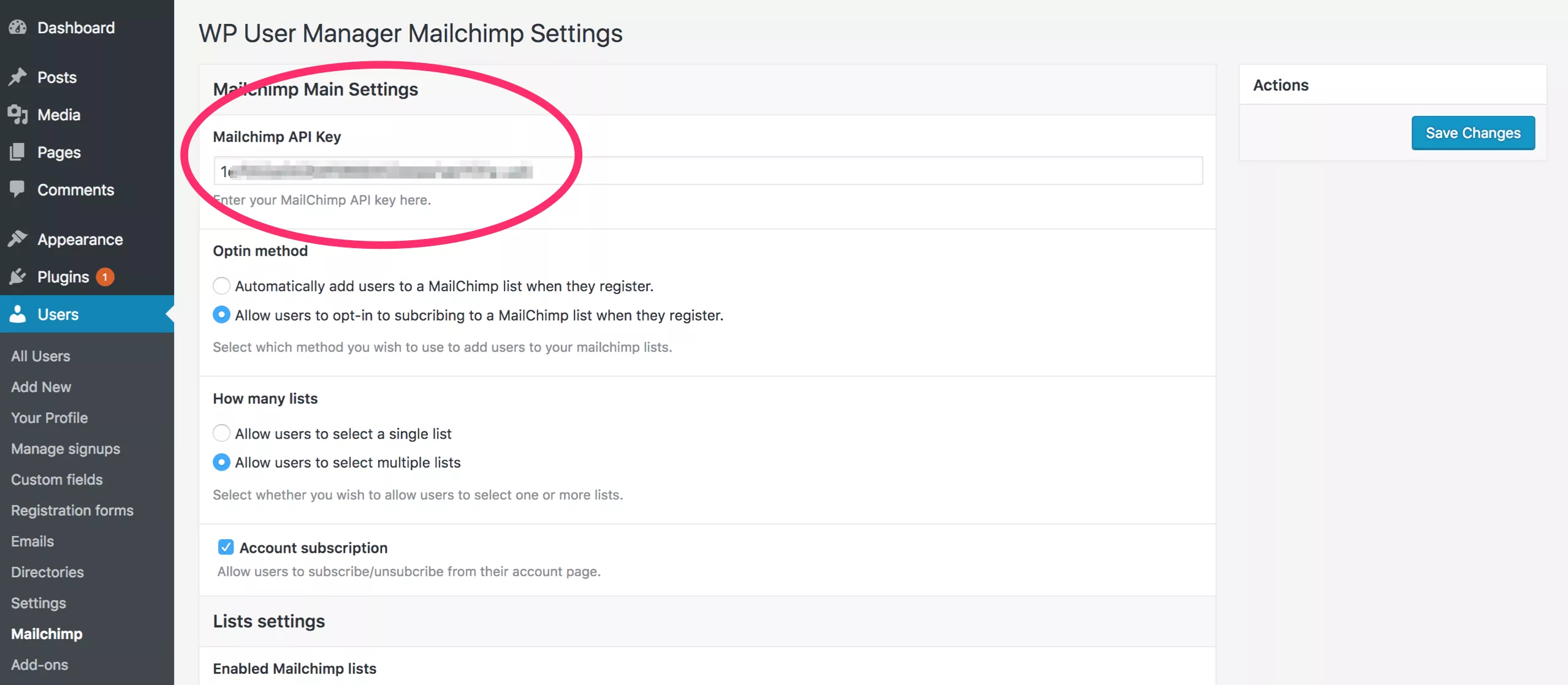 API Key برای افزونه وردپرس