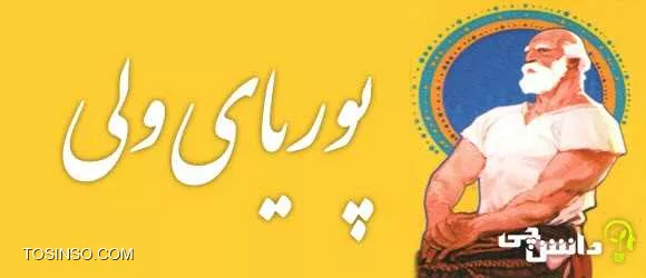 مرام پهلوانی در فناوری اطلاعات ، پهلوانی چیست تعریف پهلوان