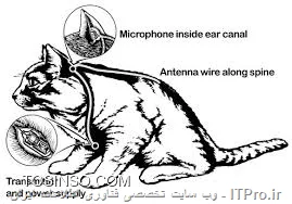 وب سایت توسینسو
