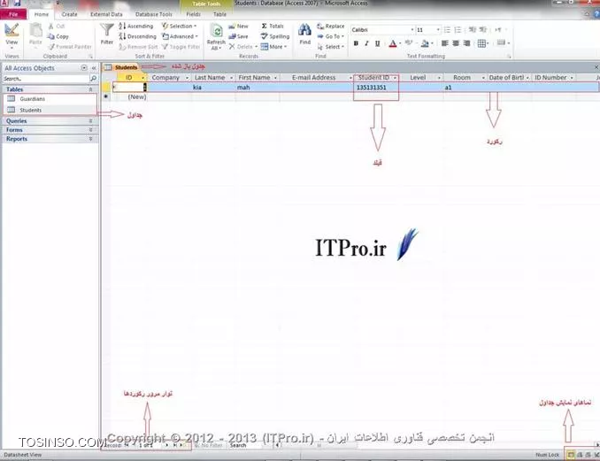 وب سایت توسینسو