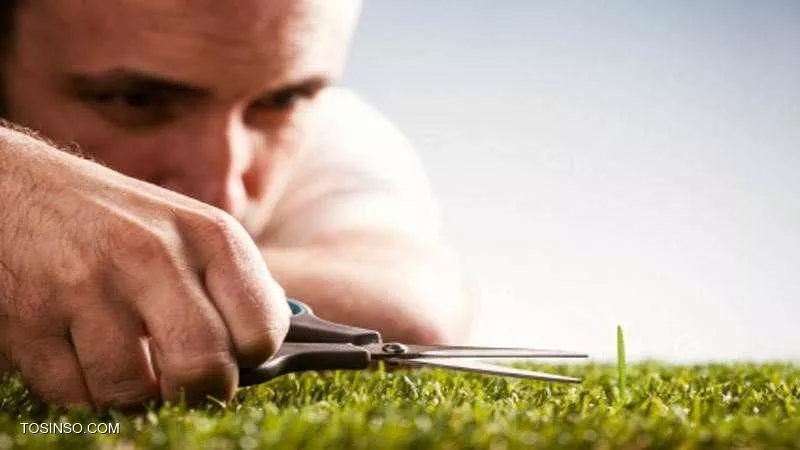 برنامه نویسی سریع