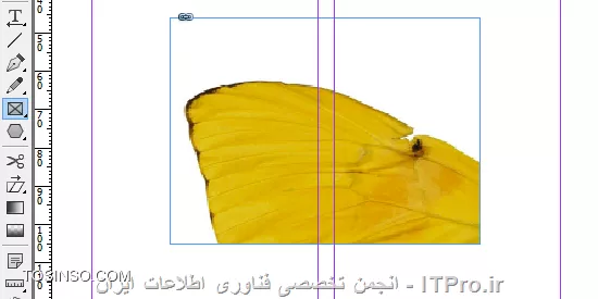 وب سایت توسینسو