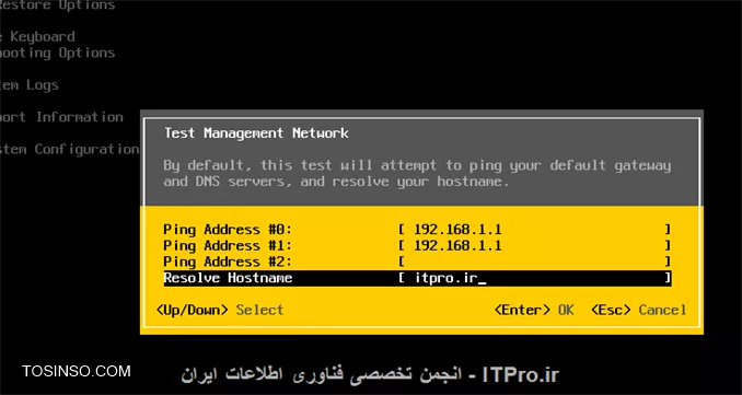 وب سایت توسینسو