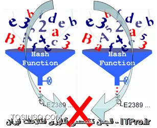 وب سایت توسینسو