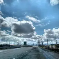 فرهاد شاهرخی