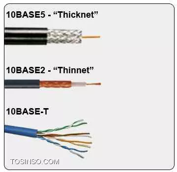 وب سایت توسینسو