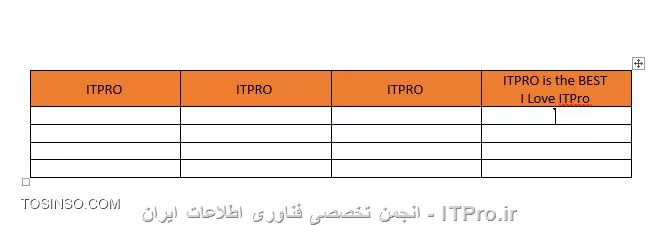 وب سایت توسینسو