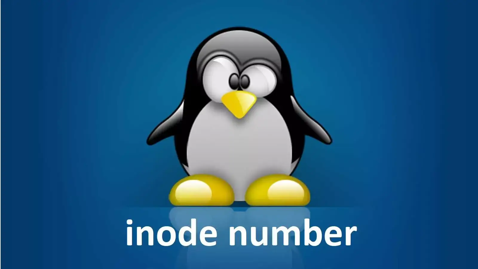 Inode Number چیست؟ بررسی مفهوم inode در فایل سیستم