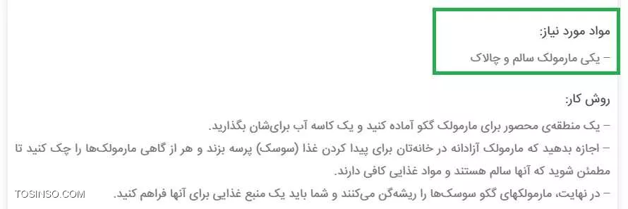 مارمولک