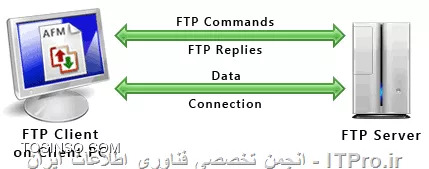 وب سایت توسینسو