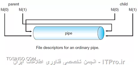 وب سایت توسینسو