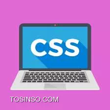 وب سایت توسینسو