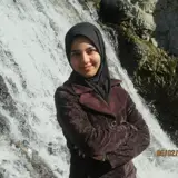 عارفه دیناروند