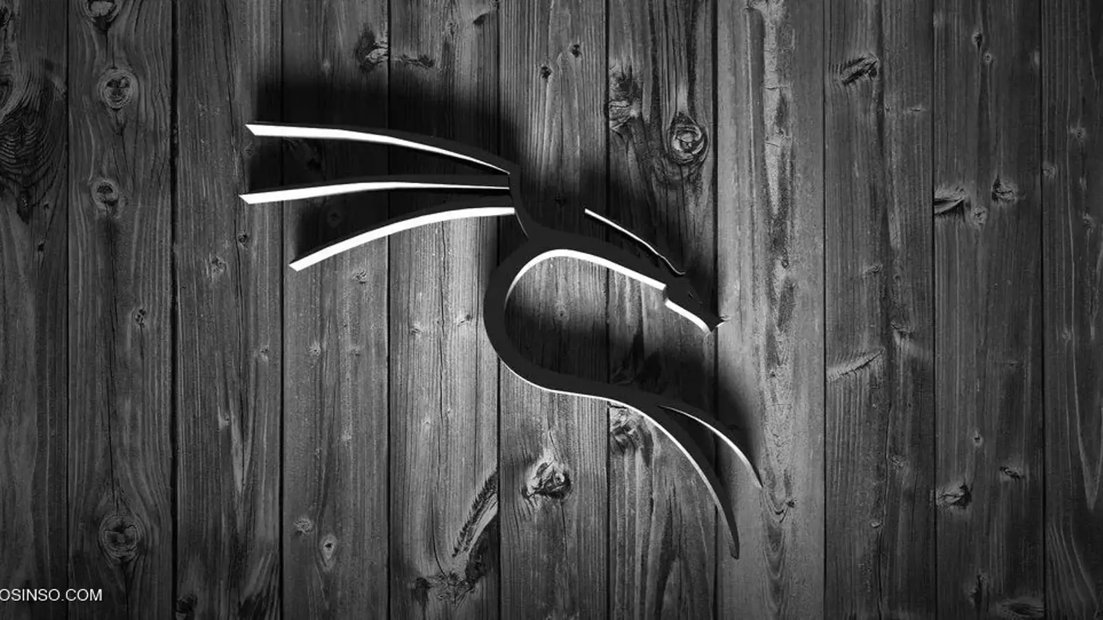 آموزش رفع مشکل نمایش ندادن کارت شبکه وایرلس WLAN در کالی لینوکس