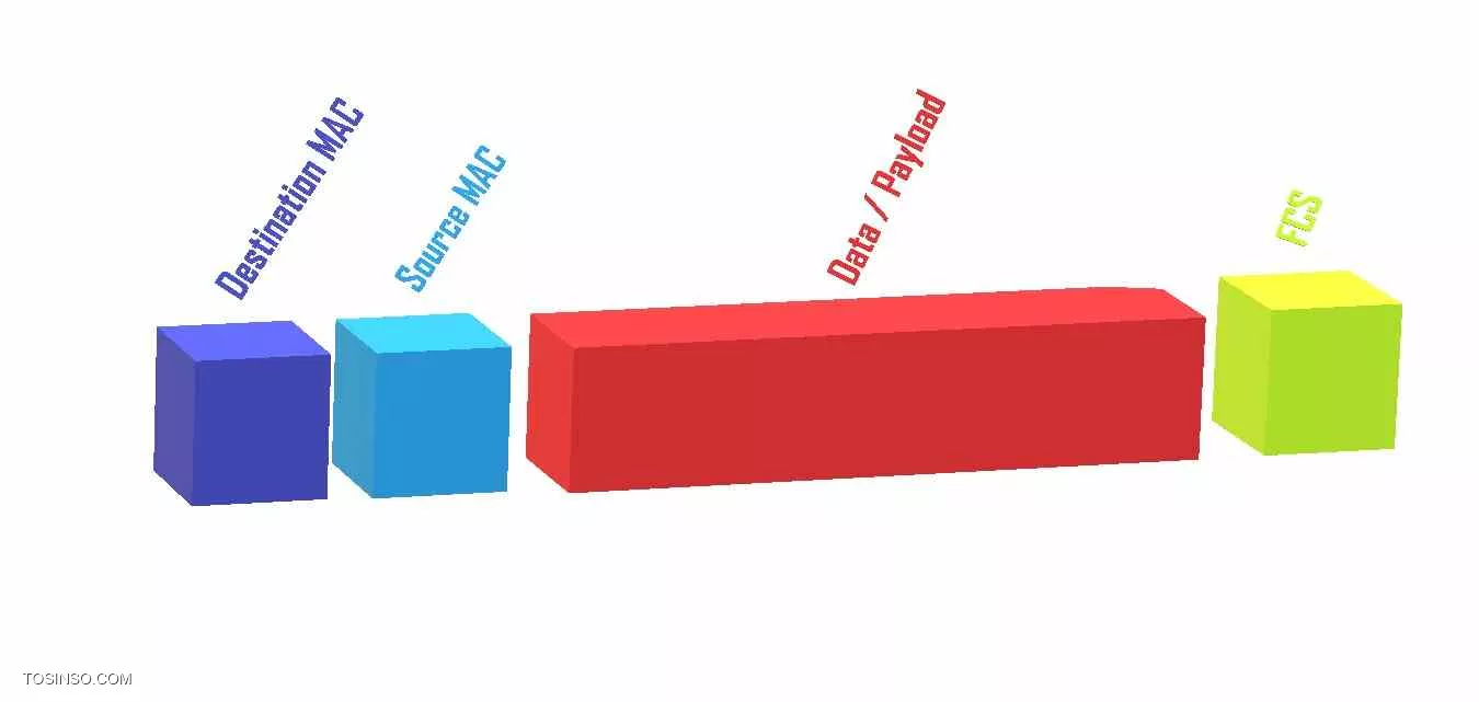 وب سایت توسینسو