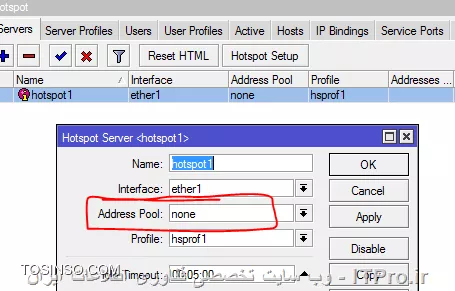 سلام
فیلد address pool را برابر با none  قرار دهید 
||http://network.tosinso.com/files/get/8cdb6265-327d-4732-9fa3-78376665d18c||