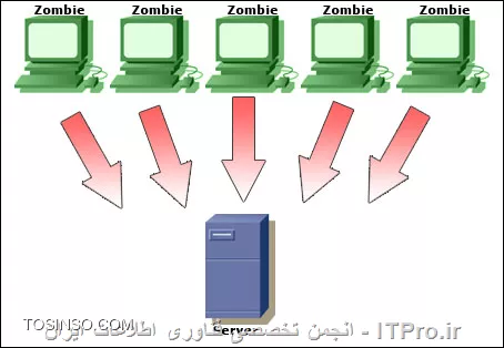 وب سایت توسینسو