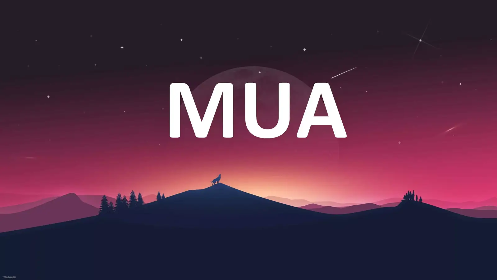 MUA چیست؟ بررسی مفهوم Mail User Agent به زبان ساده