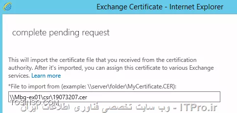 وب سایت توسینسو