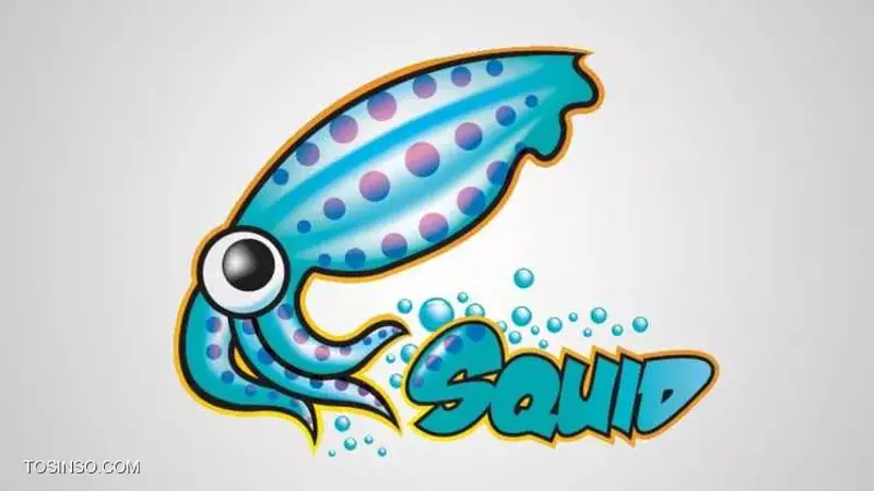 آموزش راه اندازی کش سرور Squid بصورت گام به گام و تصویری