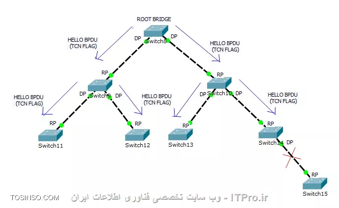 HELLO BPDU