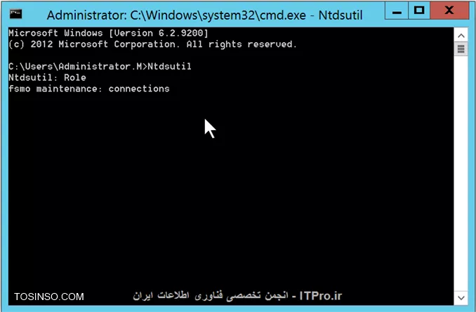 وب سایت توسینسو