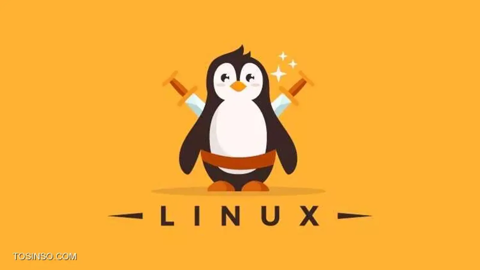 UID چیست ؟ معرفی User Identifier لینوکس و نحوه مشاهده آن