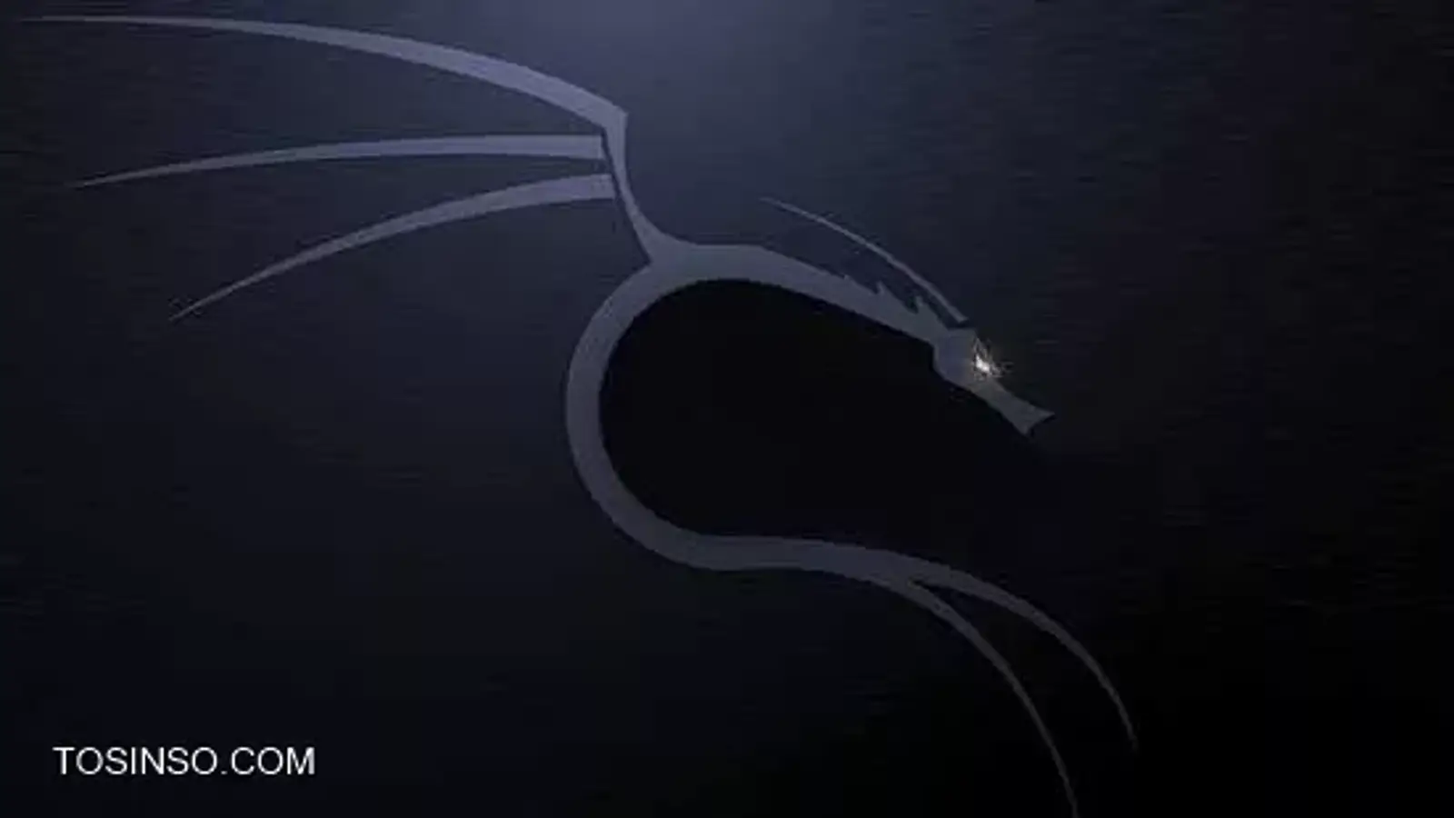 آموزش نصب کالی لینوکس در VMWare بصورت Live