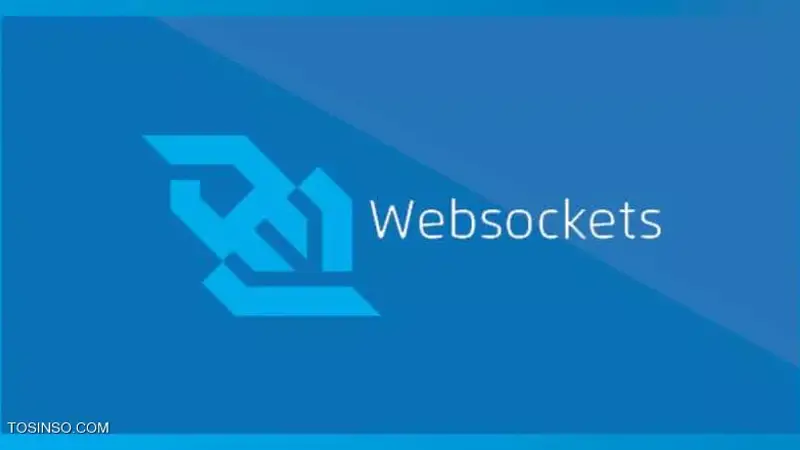 آموزش برنامه نویسی Web Socket در PHP