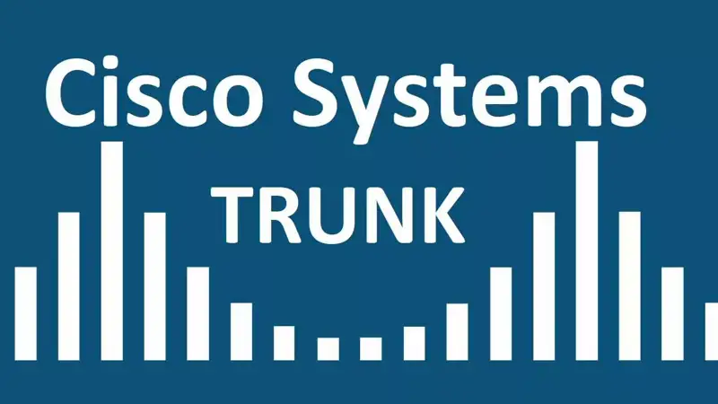 Trunk Link چیست؟ کاربرد لینک ترانک در سویچ های سیسکو چیست؟