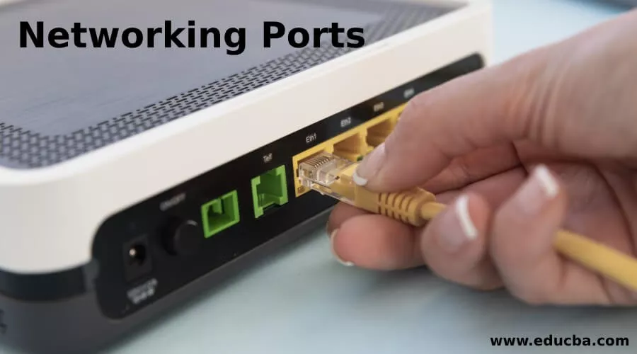 پورت چیست؟ همه چیز درباره مفهوم Port در شبکه و انواع آن