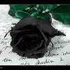 مرتضی