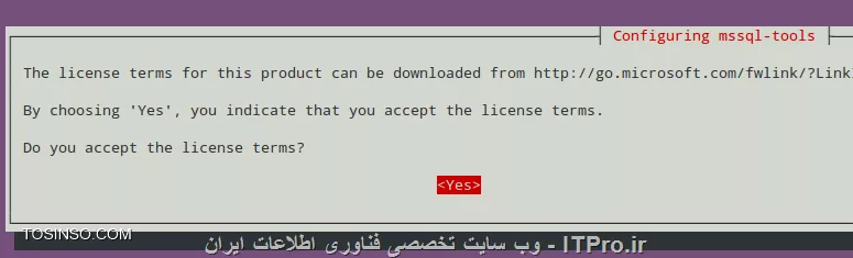وب سایت توسینسو