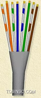 وب سایت توسینسو