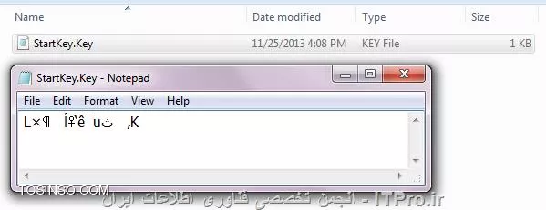 استفاده از Flash Memory به عنوان رمز سیستم