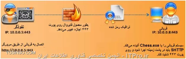 وب سایت توسینسو