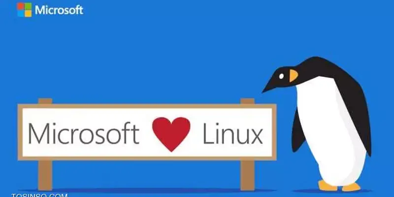 چرا SQL سرور مایکروسافت برای لینوکس هم ارائه شد !
