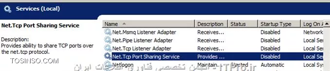 وب سایت توسینسو