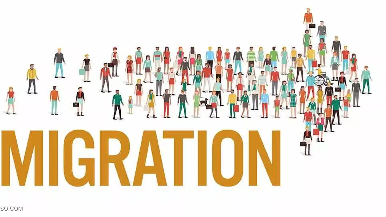 6 دلیل مهاجرت نخبگان و کارشناسان کامپیوتر به کشورهای خارجی