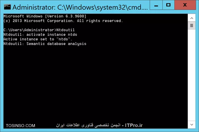 وب سایت توسینسو