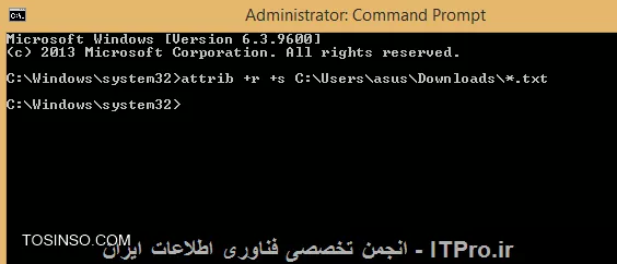 وب سایت توسینسو