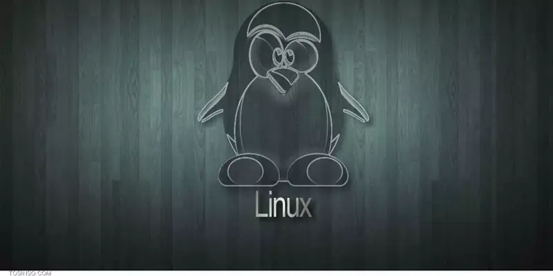 آموزش اجبار کردن APT به استفاده از IPv4 در لینوکس 