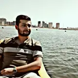 Ali Ansari