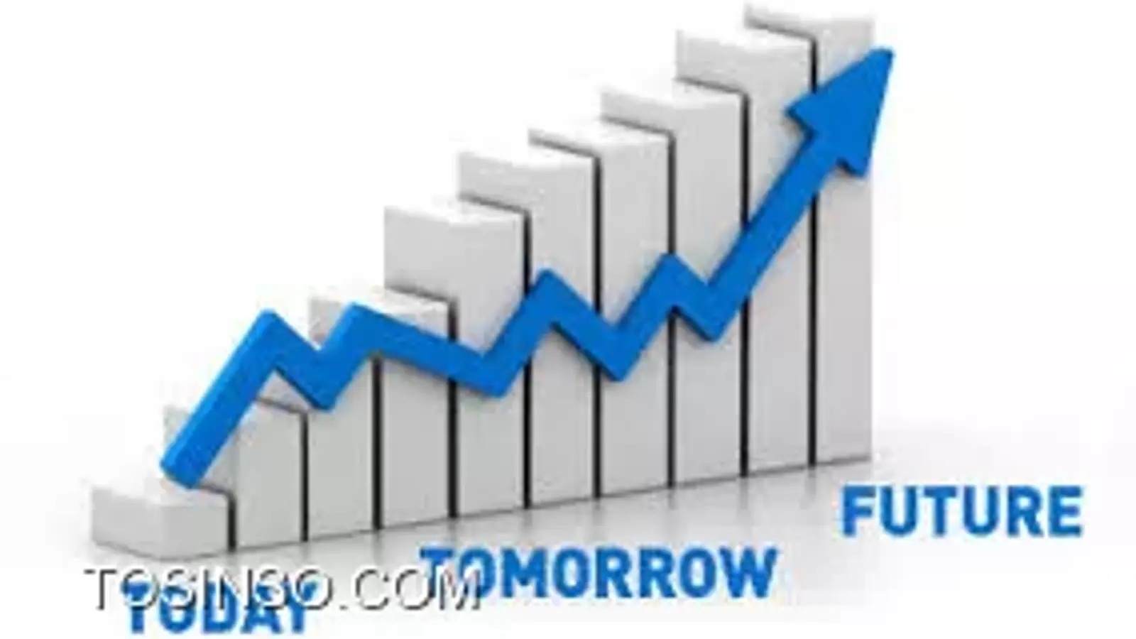 چرا سئو شبیه بدنسازی است؟ معرفی 10 دلیل شباهت SEO و بدنسازی