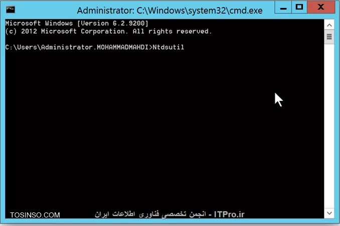 وب سایت توسینسو
